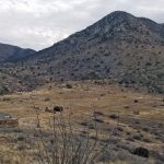 Fort Bowie, The Fort Itself TheFortItself_F